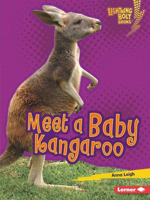 cover image of Meet a Baby Kangaroo